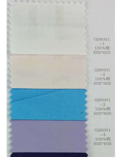 DG-LIFG GS6001 正面照